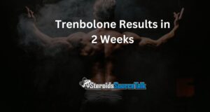 Tren Twins Overview - Names, Age, Height, Weight